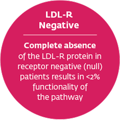 LDL-R Negative image