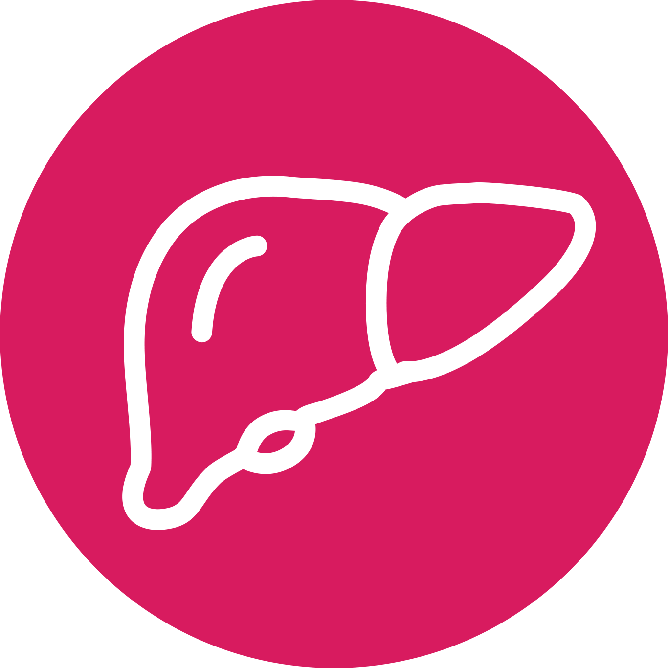 Liver icon
